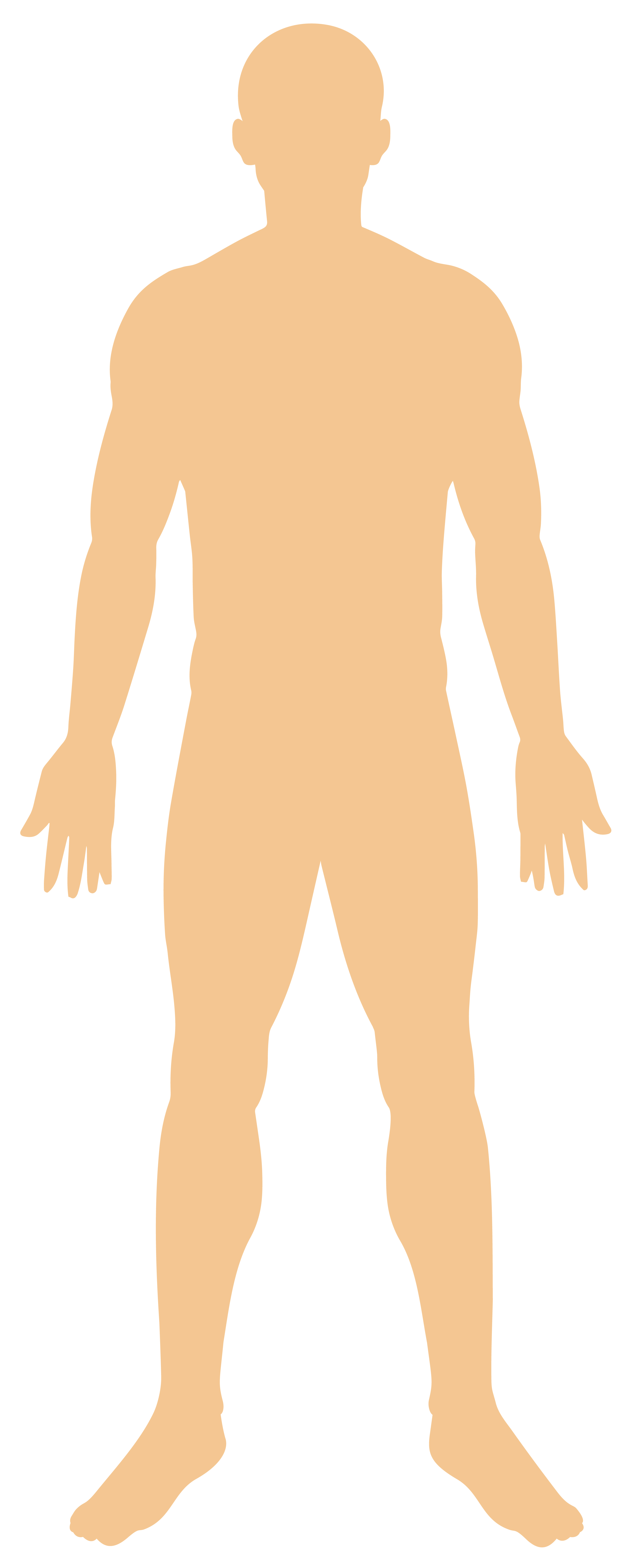 Interactive Human Body Diagram